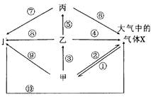 生態系統碳循環分析 光合作用、化能合成作用與海洋生物活性物質提取的關聯